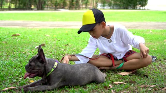 那个男孩在公园里和法国斗牛犬抓挠。