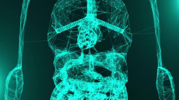 带连接点的解剖人体模型，3d渲染背景，医学概念