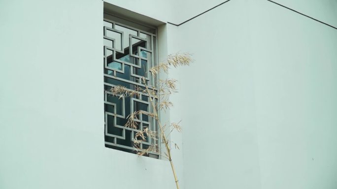 中式窗户边的黄色竹子