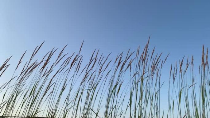 透过本茨的天空景色