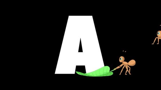 字母A和Ant在前景