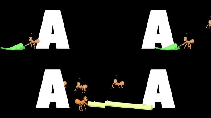 字母A和Ant在前景