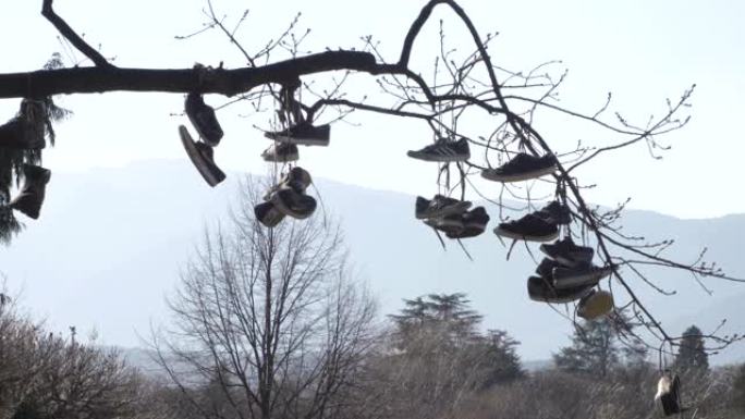 挂在树上的各种鞋子。晴天背景上的蓝天。意大利波尔扎诺的公共公园。特伦蒂诺