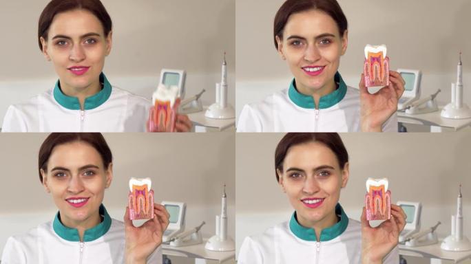 可爱的女牙医对着镜头微笑，举起牙模