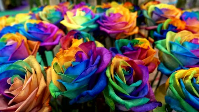 玫瑰花的彩虹色花束作为背景。