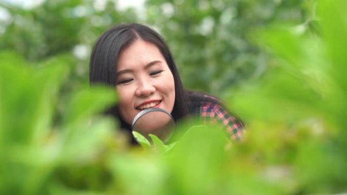 农民妇女检查新鲜水培植物的质量，在温室支持下生长的植物，惊讶地打手势