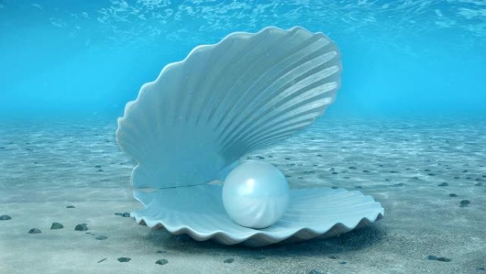 海床贝壳中的美丽珍珠
