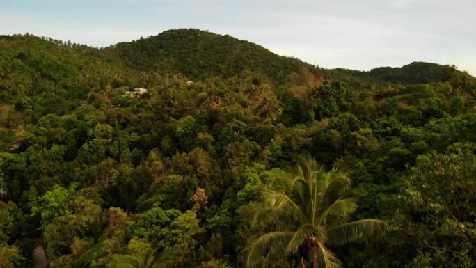 绿山脊上的别墅。雄伟的无人机景观豪华别墅位于热带天堂异国岛上的绿色山脉。