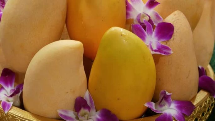 有芒果和鲜花的金盘子。美味成熟的黄色芒果和美丽的紫色兰花花放在闪亮的金色盘子里，作为传统的东方甜点和