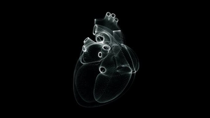 人体心脏跳动的全息图表示屏幕3d