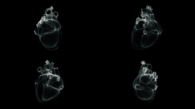 人体心脏跳动的全息图表示屏幕3d