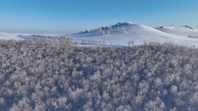 4K航拍雪域雪原桦林雾凇