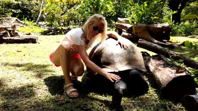 女人触摸巨型乌龟