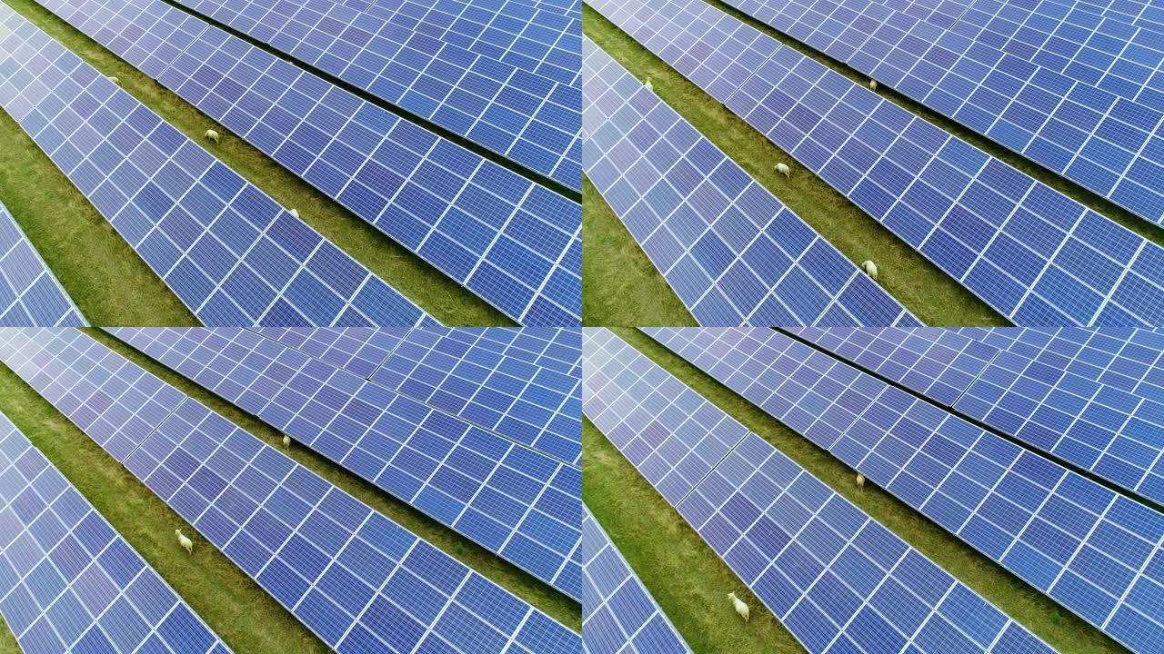 太阳能电池板从前面成排在阳光下在法国-鸟瞰图-环境保护气候变化阳光草反射保护电力可持续能源