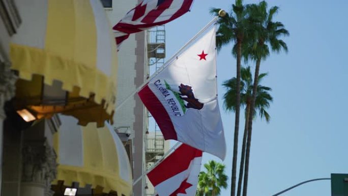 加州旗帜在建筑物外挥舞