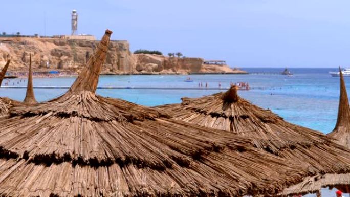 珊瑚礁附近红海上有太阳伞的热带海滩。埃及