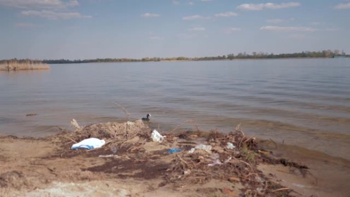 塑料垃圾问题，受污染河流上的塑料垃圾和野鸭在水中游泳