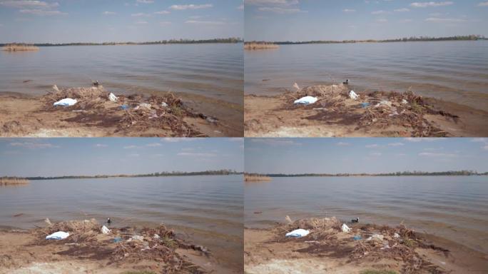 塑料垃圾问题，受污染河流上的塑料垃圾和野鸭在水中游泳
