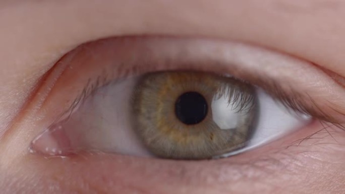绿色眼睛的特写镜头在恐惧或焦虑状态下快速收缩瞳孔。