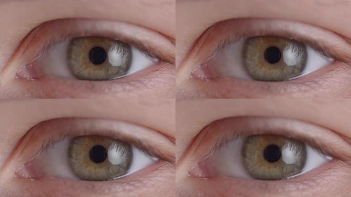 绿色眼睛的特写镜头在恐惧或焦虑状态下快速收缩瞳孔。