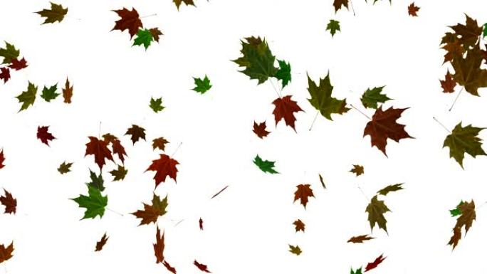 落叶背景动画。