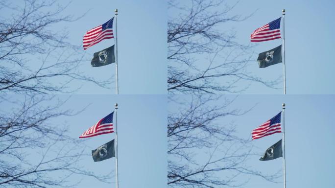 两面旗帜在风中飘扬