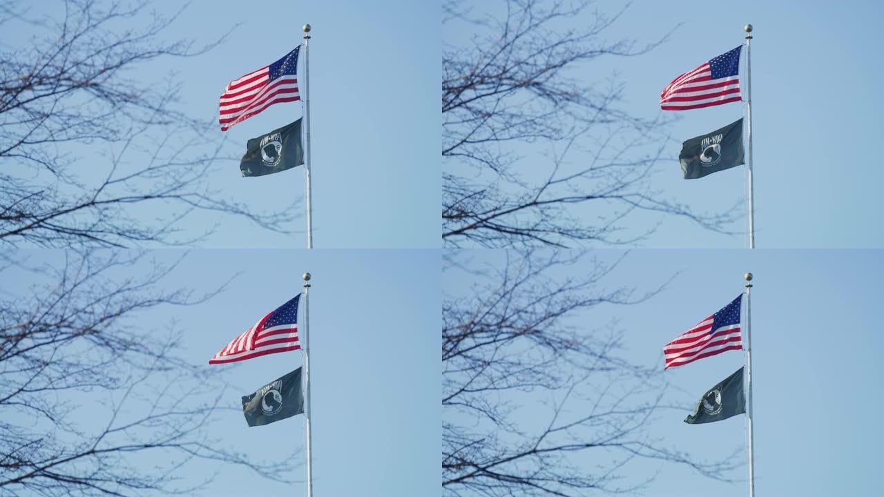 两面旗帜在风中飘扬