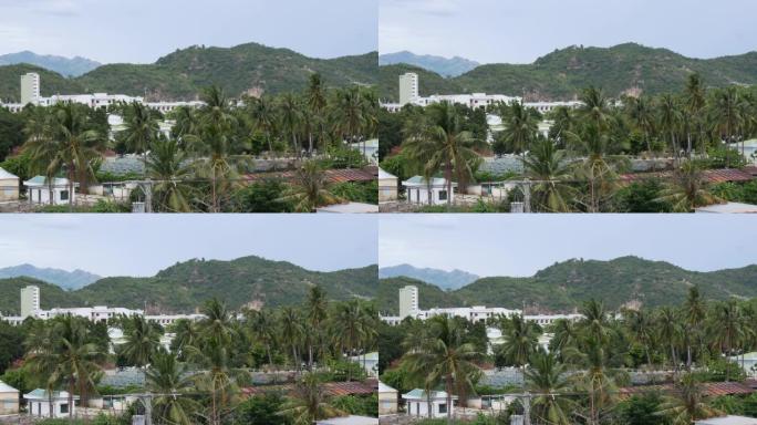 山区背景下阴天的棕榈树小镇。热带概念。4k