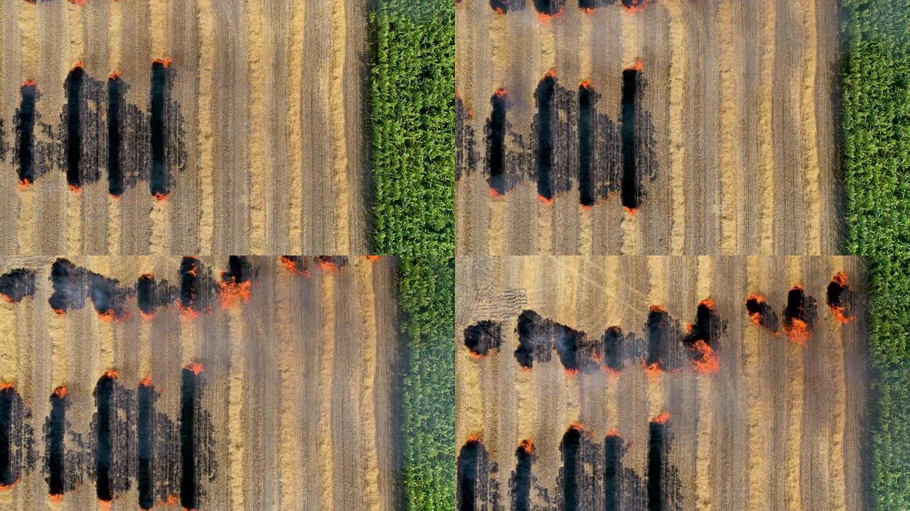 农民焚烧植被残余物的斜坡，从而降低土壤肥力和环境退化