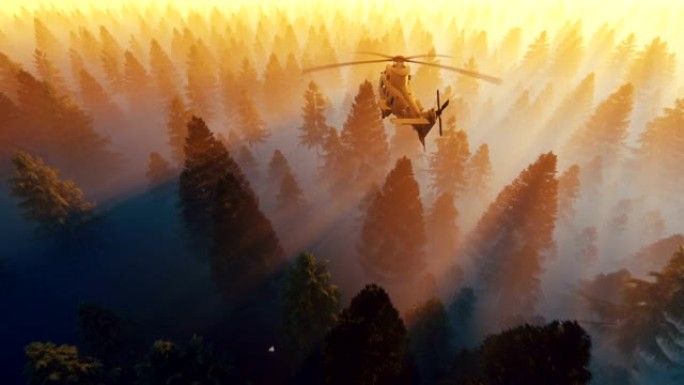 黑鹰直升机在美丽的日出下飞越松林