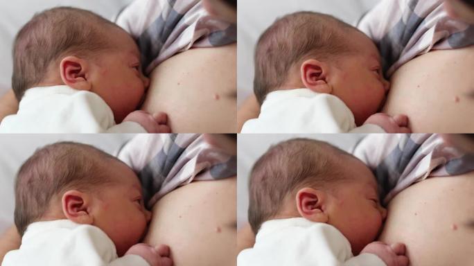 母亲母乳喂养婴儿新生婴儿
