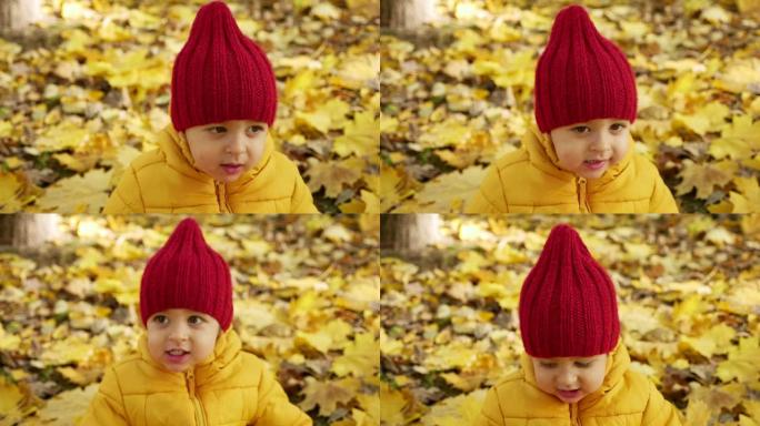快乐的小男孩在秋天的公园里玩耍