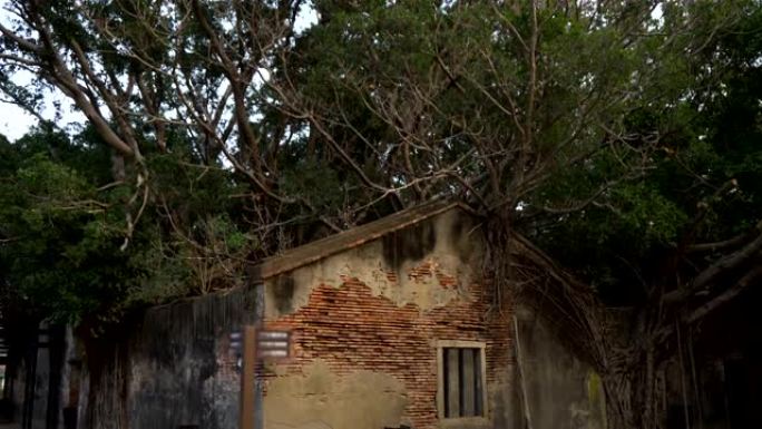 树木丛生的废弃砖房-台湾台南安平树屋-2018年12月