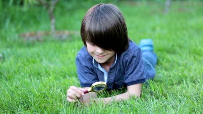 青春期前的孩子，男孩，用放大镜探索，看着草丛中的瓢虫