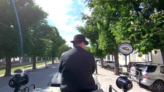 车夫骑着马车穿过公园。