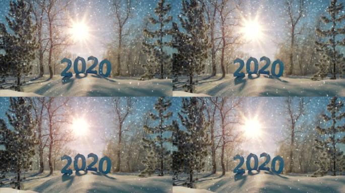 文本2020在冬季公园无缝循环3D渲染动画