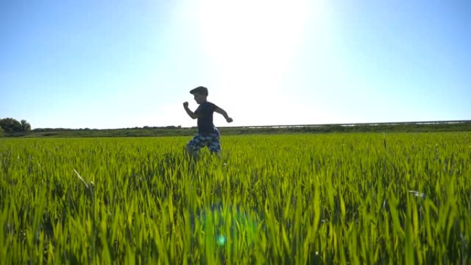 无忧无虑的孩子在夏天在草地上慢跑，玩得开心。在阳光明媚的炎热天气里，快乐的男孩带着绿色的小麦在田野里
