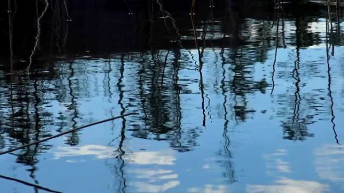 春天的北部自然海岸