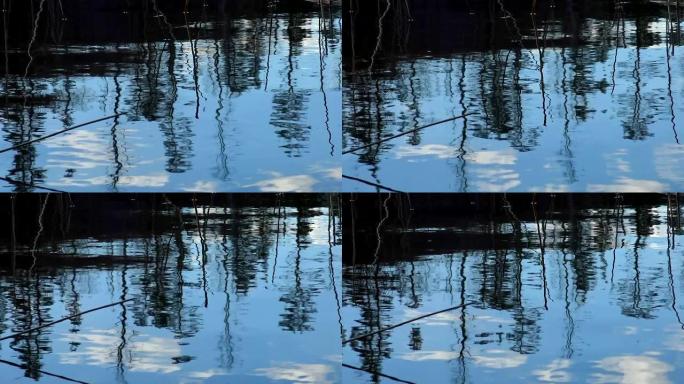 春天的北部自然海岸