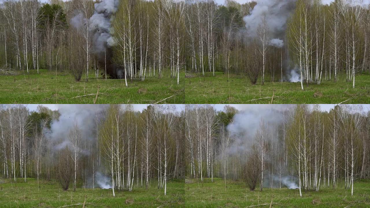树林里的火在树林里。在森林里发生手榴弹爆炸
