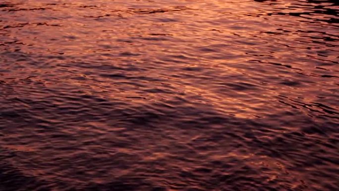日落金色水背景
