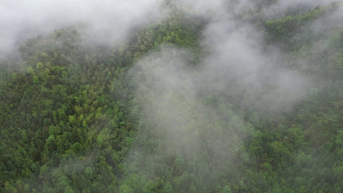 深山云雾缭绕   雨中航拍俯瞰大地山脉