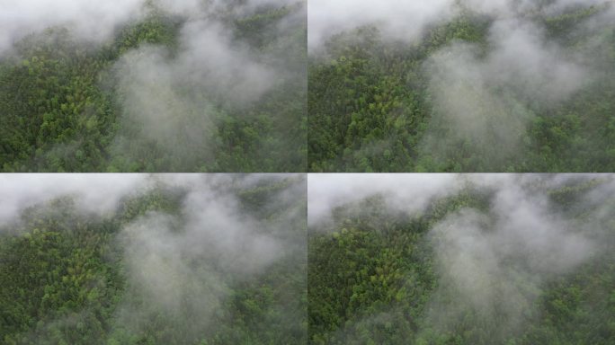 深山云雾缭绕   雨中航拍俯瞰大地山脉