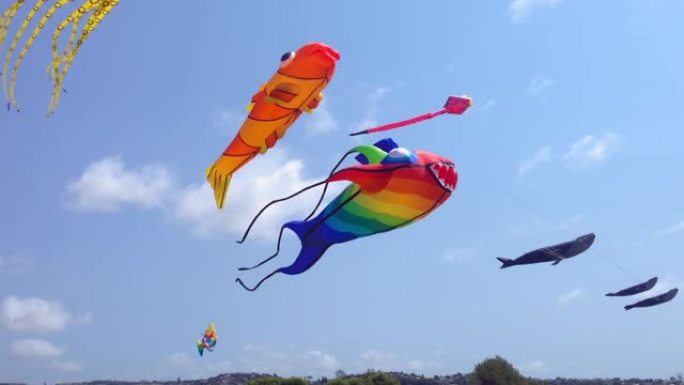 风筝节上巨大的海洋生物的彩色风筝