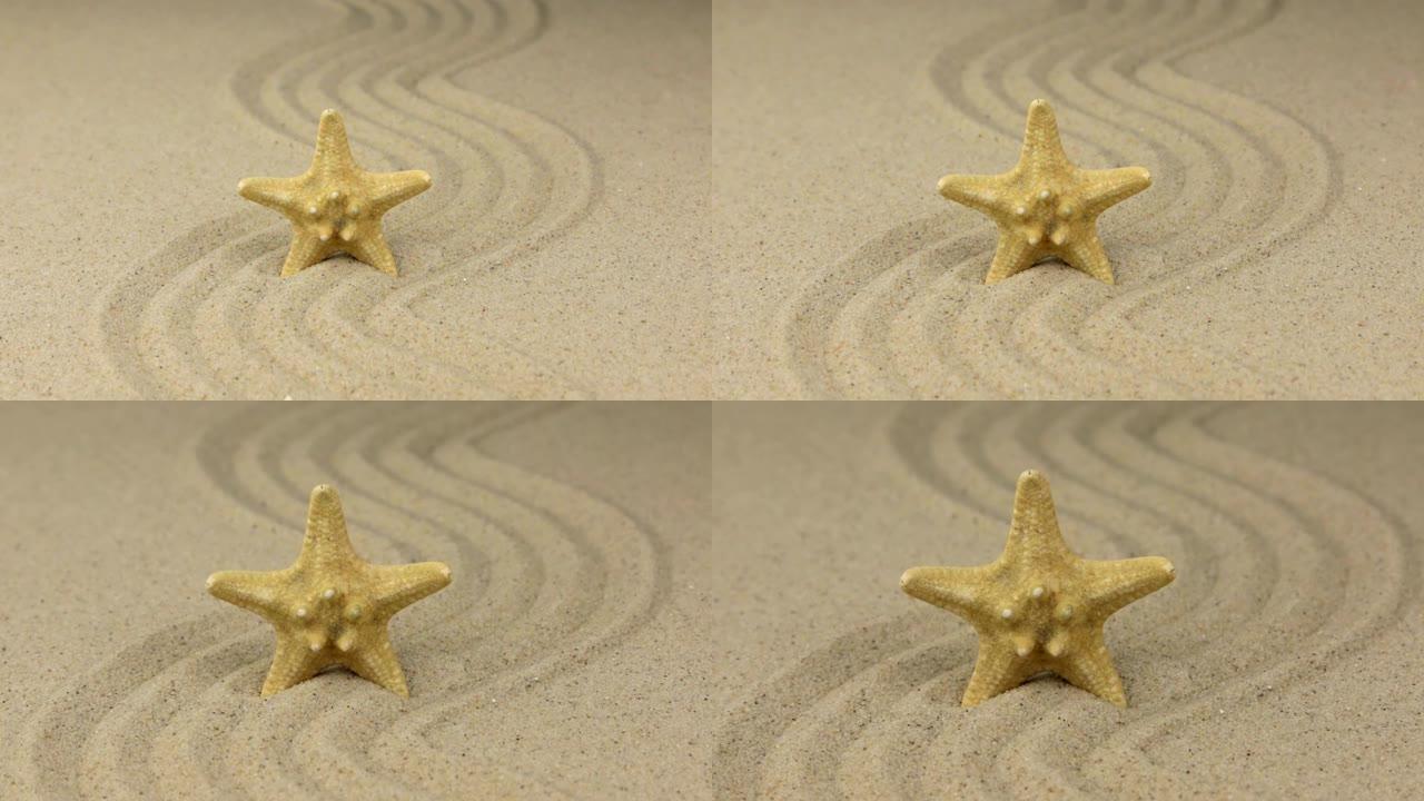 一只美丽的海星躺在沙子制成的曲线上。