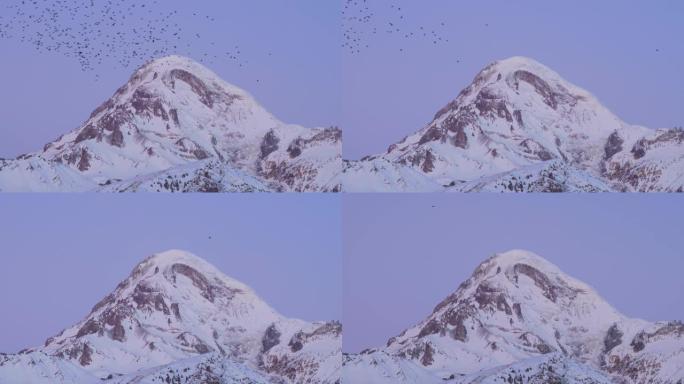 斯蒂芬斯明达，格盖蒂，佐治亚州。鸟群飞过卡兹别克山的山顶。冬季的芒特积雪