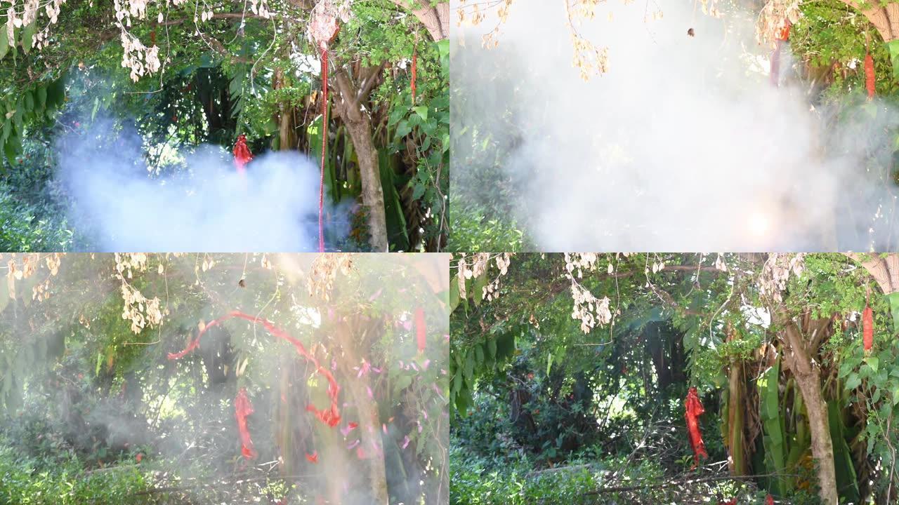 挂着爆炸的树的中国红鞭炮有烟。