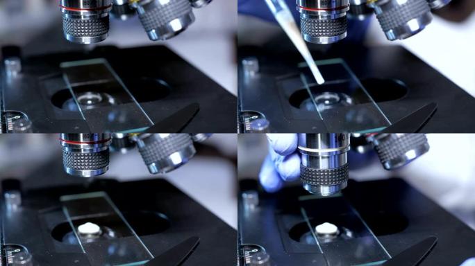 科学家在实验室用微量移液器在载玻片上从试管中添加液体的特写镜头。在实验室中使用移液器显微镜研究样品，