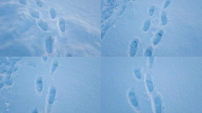 4k脚印在雪地上行走