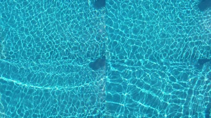 用太阳反射跳动的蓝色泳池水